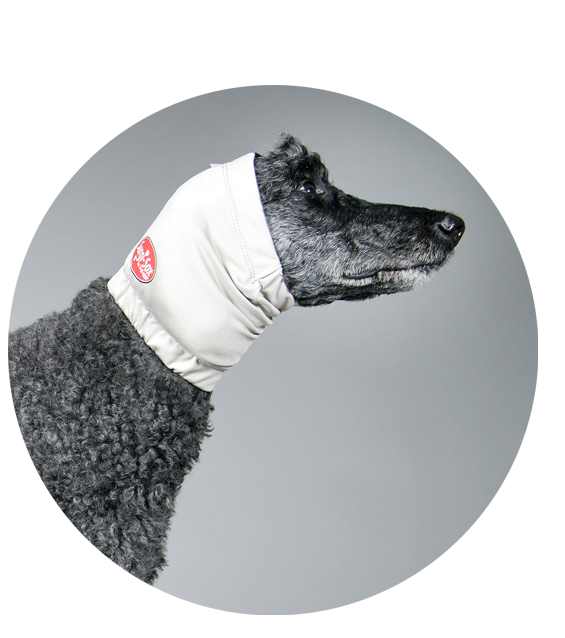 blood ear bandage