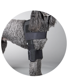 front leg hobble system