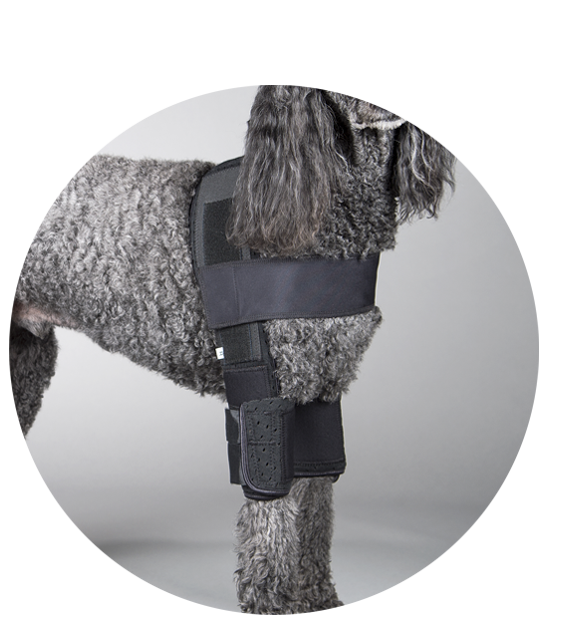 front leg hobble system