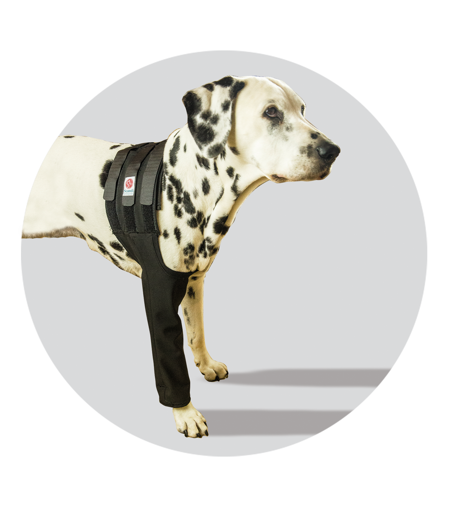 medical pet cover front leg