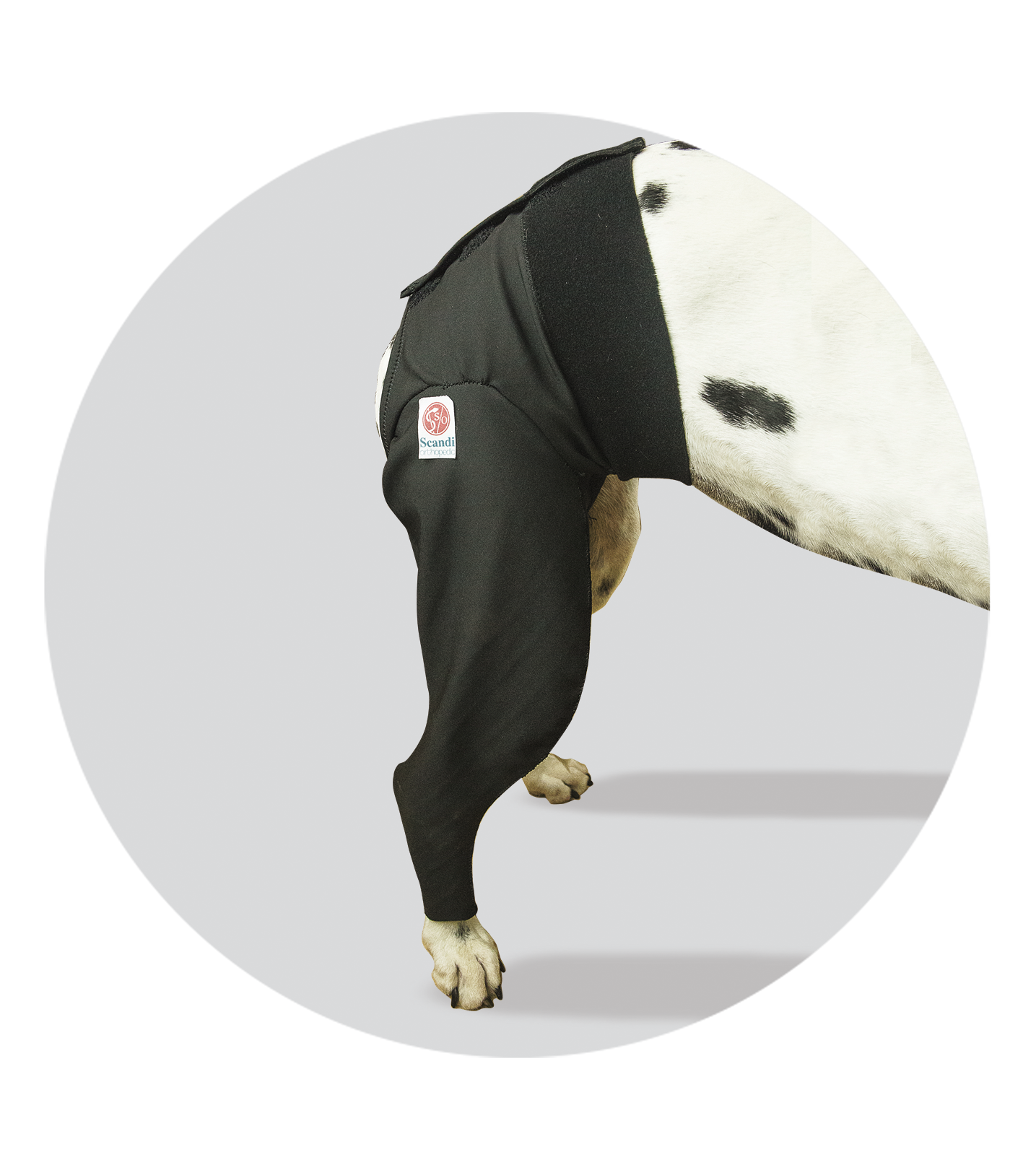 medical pet cover hind leg