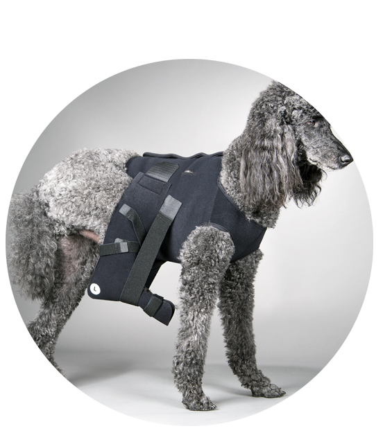 ehmer sling