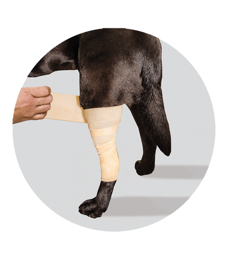 cooling bandage