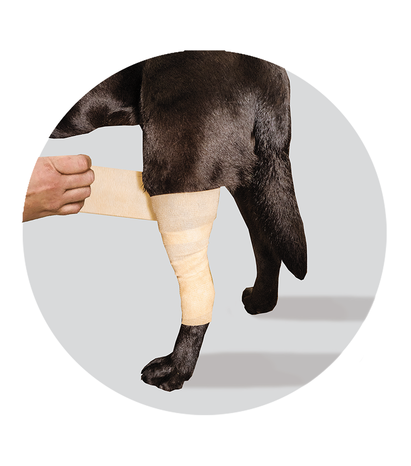 cooling bandage