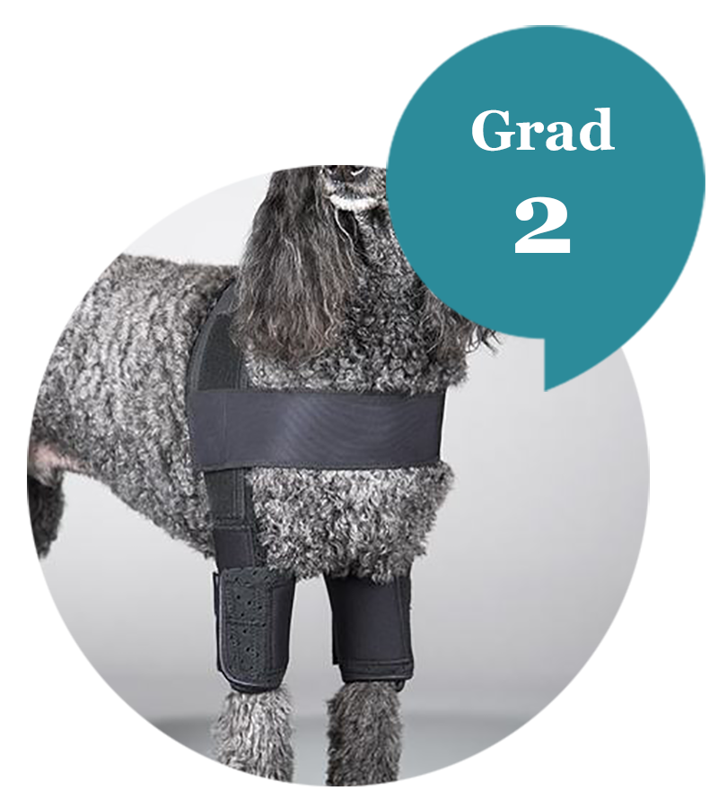 dogleggs elbow orthosis