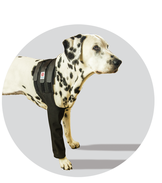 medical pet cover front leg