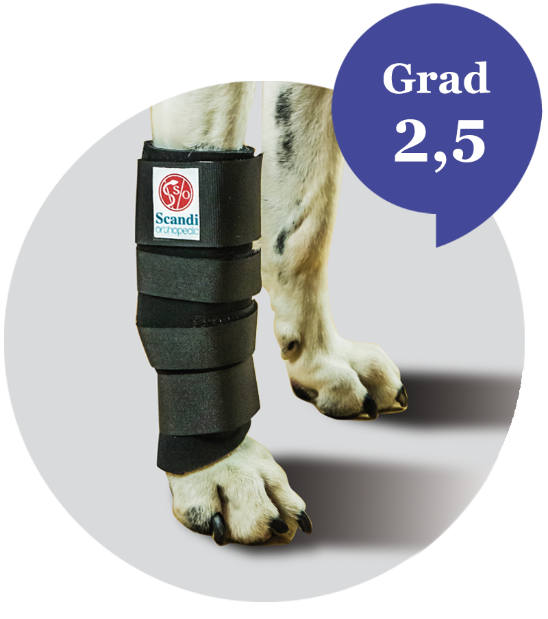 carpal orthosis for dog